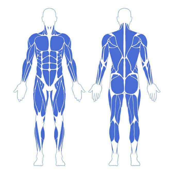 6 Cardio Guide Rowers Cardio Guide Rowers