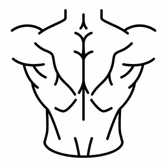 Back