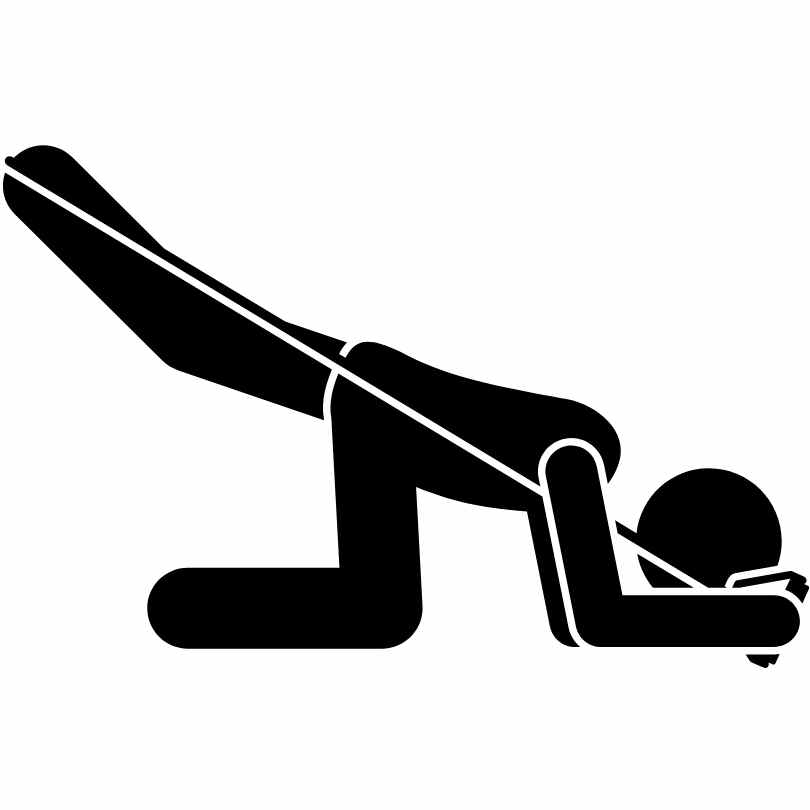 Functional Guide Bodyweight & Suspension Training Functional Guide Bodyweight & Suspension Training