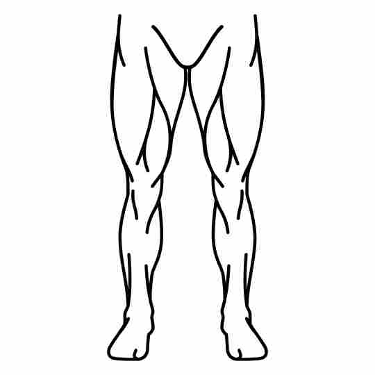 Legs
