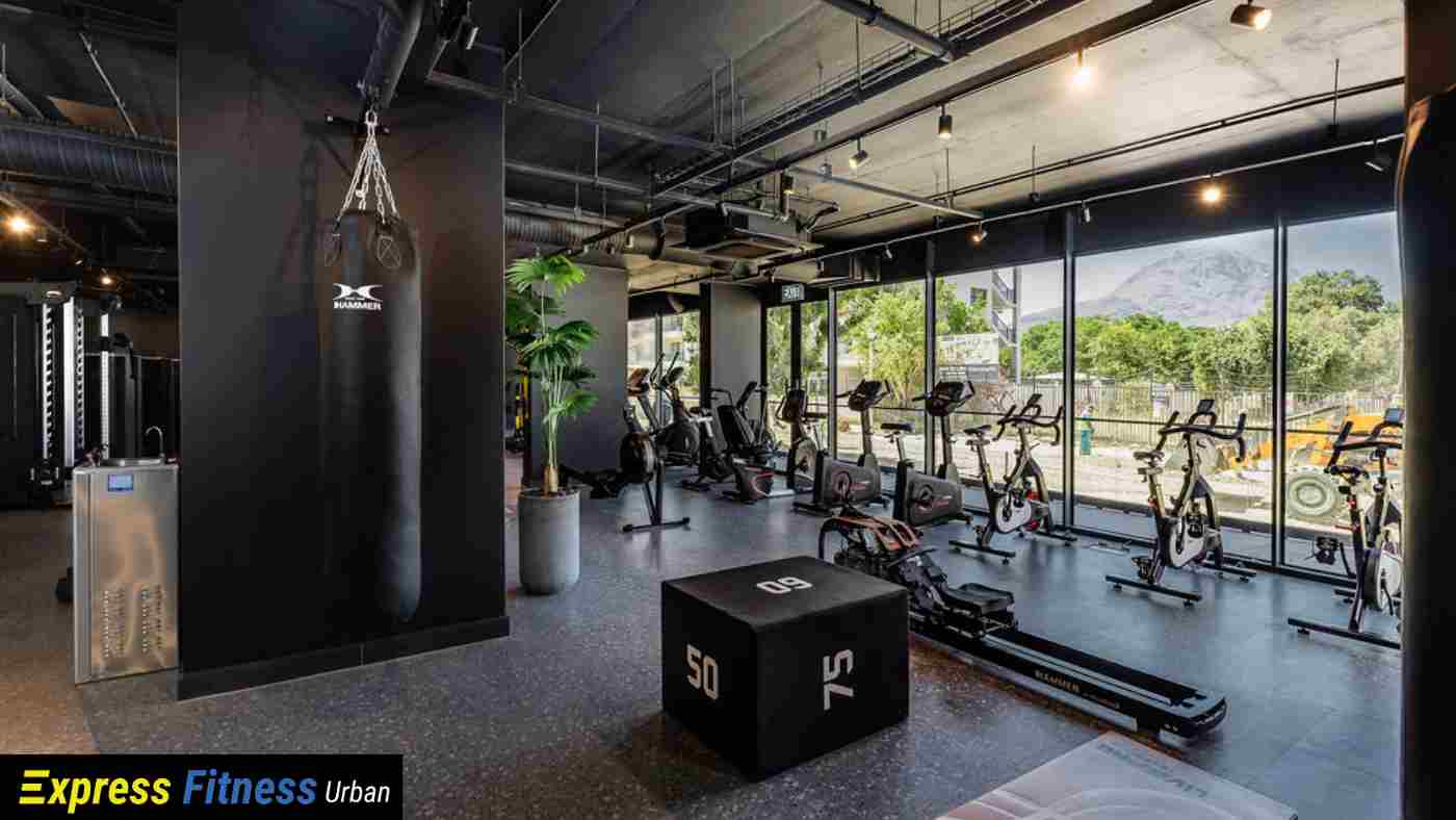 Top Fitness Trends blog